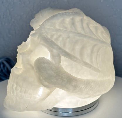 Lighted Dragon Skull