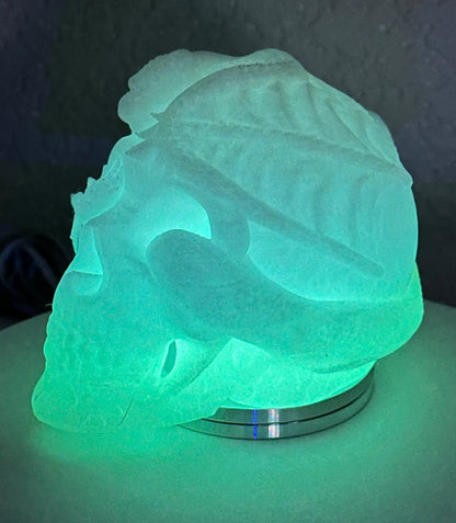 Lighted Dragon Skull
